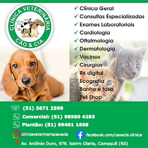 CÃO & CIA