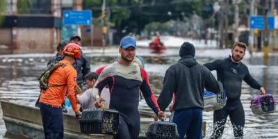 Lei cria Política de Acolhimento para animais resgatados em desastres