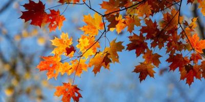 Outono começa com espetáculo astronômico e chance rara de localizar os pontos cardeais