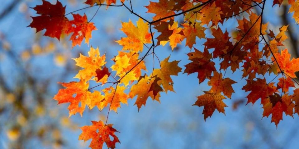 Outono começa com espetáculo astronômico e chance rara de localizar os pontos cardeais