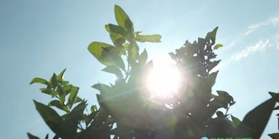 RS terá predomínio de sol e tarde quente nesta terça-feira