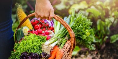 Senado discute novas regras para doação de alimentos e combate ao desperdício