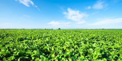 Na abertura da colheita da soja, Gabriel Souza defende irrigação e solução para dívidas dos produtores