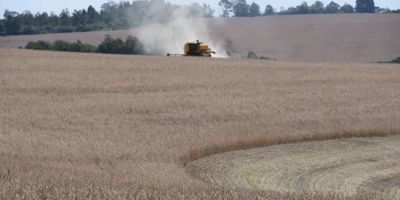 Colheita da soja alcança 10% da área cultivada no RS