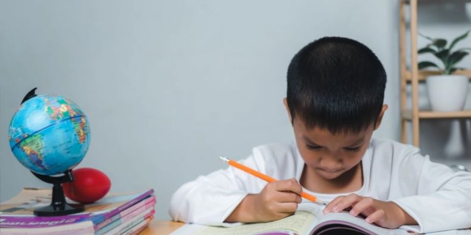 Governo do RS divulga lista final dos formadores selecionados para o Programa Alfabetiza Tchê