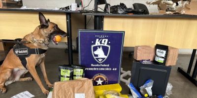 Cerca de R$ 210 mil em drogas são apreendidos em transportadora na Região Metropolitana de Porto Alegre