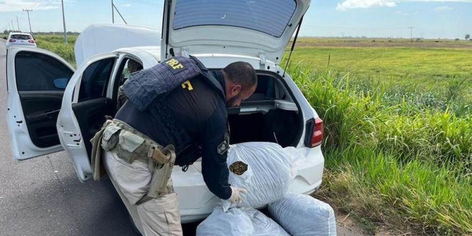 Ação conjunta apreende carga de skunk no Litoral Norte do RS