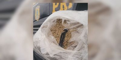 PRF prende homem transportando skunk na BR-116, em Pelotas
