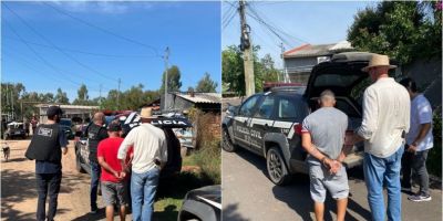 Decrab de Camaquã deflagra ação contra grupo criminoso que furtava gados em Guaíba