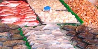 Expectativa de venda de pescado na Semana Santa ultrapassa 3,2 mil toneladas no RS