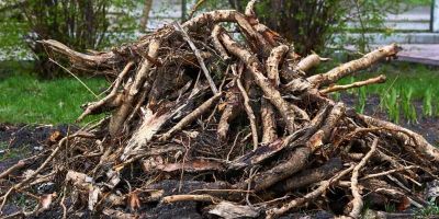 Prefeitura de Cristal divulga calendário de coleta de entulhos para os próximos meses