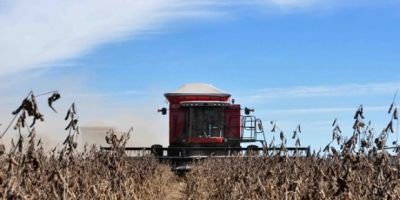 Colheita de soja com previsão de recorde começa nesta sexta em Tupanciretã