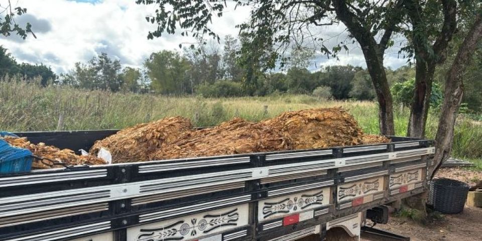 Três homens são presos em ação que investiga o furto de 55 arrobas de fumo em Amaral Ferrador