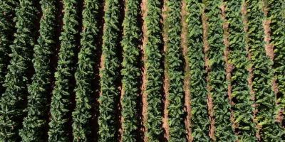 Venda do tabaco assegura mais de R$ 117 milhões de ICMS aos municípios do RS