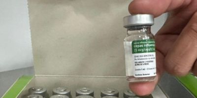 Novo lote de 404 mil vacinas contra gripe é distribuído no RS