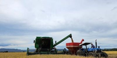Colheita do arroz alcança 96,41% da área cultivada no RS