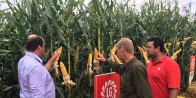 Dom Feliciano participa da Expoagro Afubra 2016