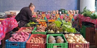 Conab e BNDES firmam acordo para fortalecer ações voltadas ao abastecimento alimentar