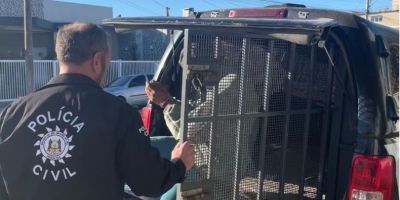 Homem de 34 anos é preso por descumprir condições de prisão domiciliar em São Lourenço do Sul