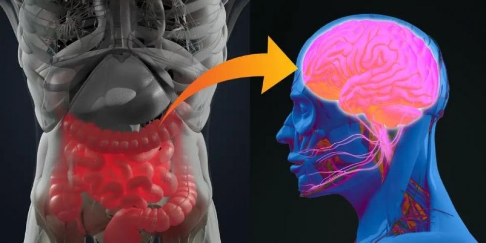 Seu intestino conversa com o cérebro: entenda como a alimentação pode influenciar na sua saúde mental