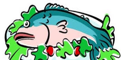 Dom Feliciano - Jantar do Peixe é neste final de semana