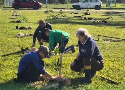 Executivo de Tapes faz parcerias para reforçar arborização no município