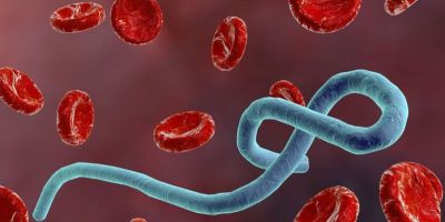 São Paulo investiga caso suspeito de ebola em homem de 37 anos