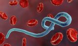 São Paulo investiga caso suspeito de ebola em homem de 37 anos