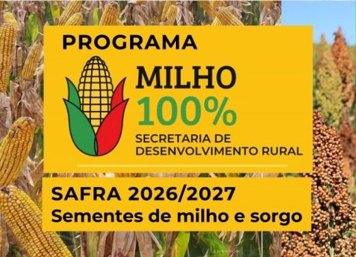 Inscrições para o Programa Milho 100% iniciam no dia 9 de junho em Camaquã