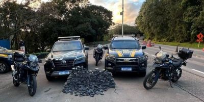Ação conjunta apreende mais de 230 kg de maconha em Santa Maria