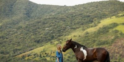 Cavalos respondem ao que sentimos? Estudos buscam entender essa relação
