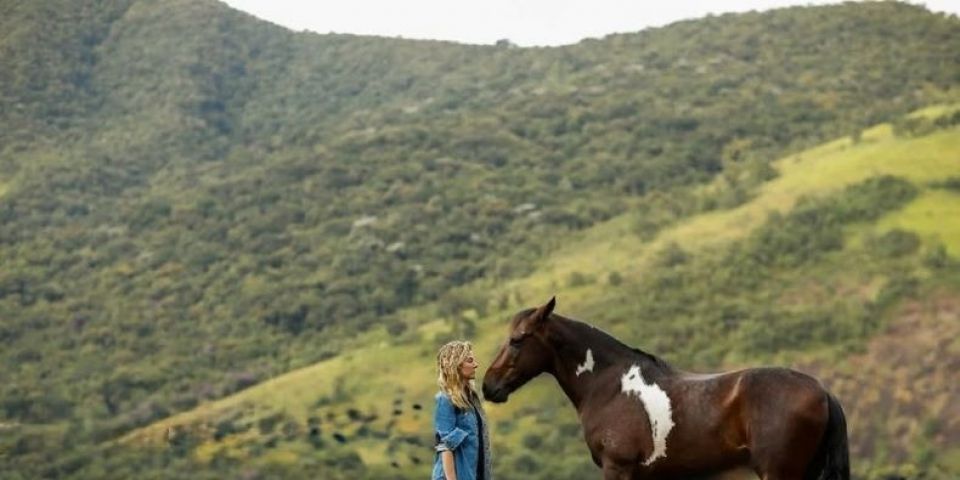 Cavalos respondem ao que sentimos? Estudos buscam entender essa relação