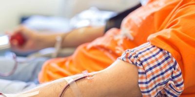Dia Mundial do Doador de Sangue: veja mitos e verdades sobre a doação de sangue