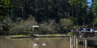 Governo do RS anuncia reabertura do Parque Zoológico, em Sapucaia do Sul, para visitação neste sábado (13)
