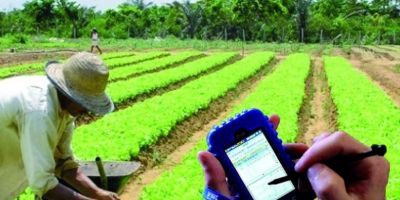 IBGE abre 14 vagas temporárias para o Censo Agropecuário em Camaquã