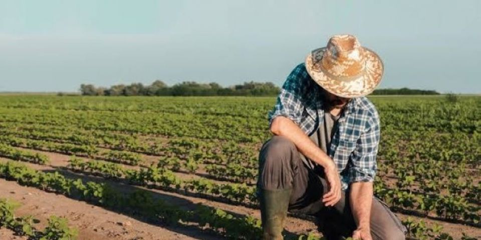 Produtor gaúcho tem até 10 de julho para fazer a Declaração Anual de Rebanhos