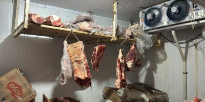 Força-Tarefa apreende 2,2 toneladas de produtos impróprios no Norte do RS