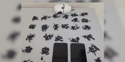 Homem de 20 anos é preso por tráfico de drogas em São Lourenço do Sul