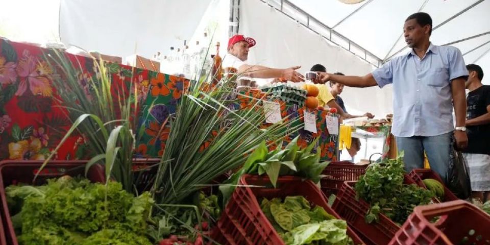 Decreto adia exigência de CNPJ para autônomos e produtores rurais