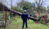 Defesa Civil reconhece situação de emergência em 17 municípios do RS