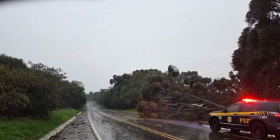 PRF informa que rodovias federais do RS seguem sem bloqueios após chuvas