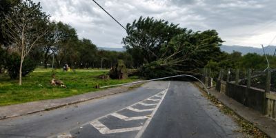 Ventania de 125 km/h mata ao menos duas pessoas em SP