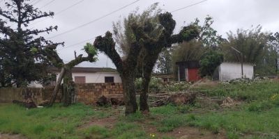 Prefeitura de Camaquã orienta sobre poda drástica e alerta para infração ambiental