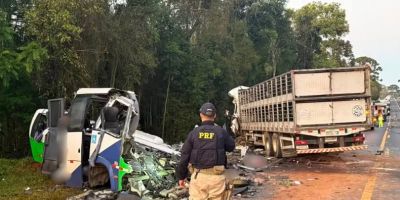 TRAGÉDIA: colisão frontal entre micro-ônibus da Saúde e carreta deixa 23 mortos no Paraná