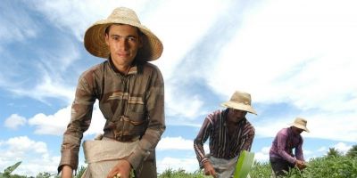 Projeto busca fortalecer presença de jovens na agricultura de São Lourenço do Sul