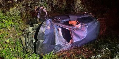 Carro atropela capivara, sai da pista e capota na BR-116, em Tapes