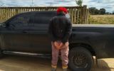 Produtor rural é preso por suspeita de furtar 47 cabeças de gado em São Lourenço do Sul