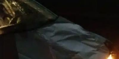 Cavalos soltos na BR-116 causam mais um acidente em Camaquã