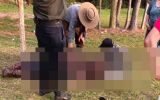"Gringo Loko" sofre grave acidente a cavalo em Cerro Grande do Sul