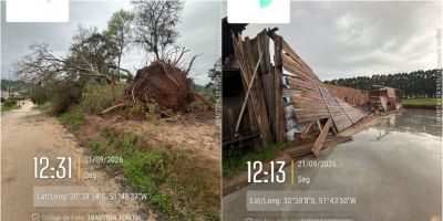 Temporal destelha casas, derruba árvores e deixa desalojados em Cerro Grande do Sul